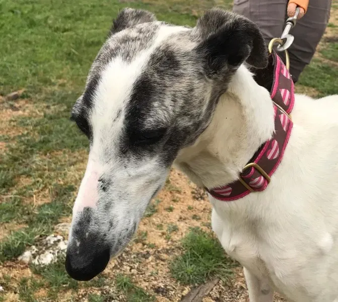 received 1475020995883263