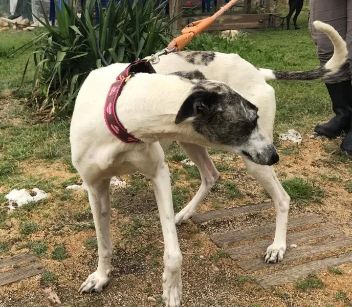 received 1475021595883203