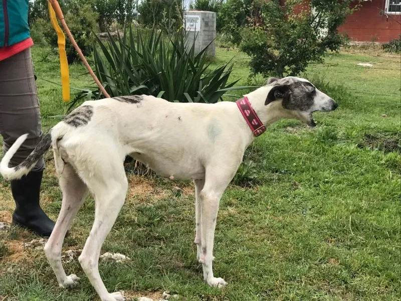 received 1475021862549843