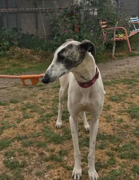 received 1475023389216357