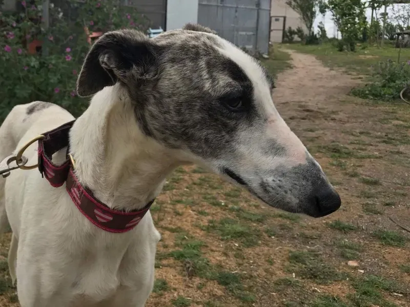 received 1475023625883000 1