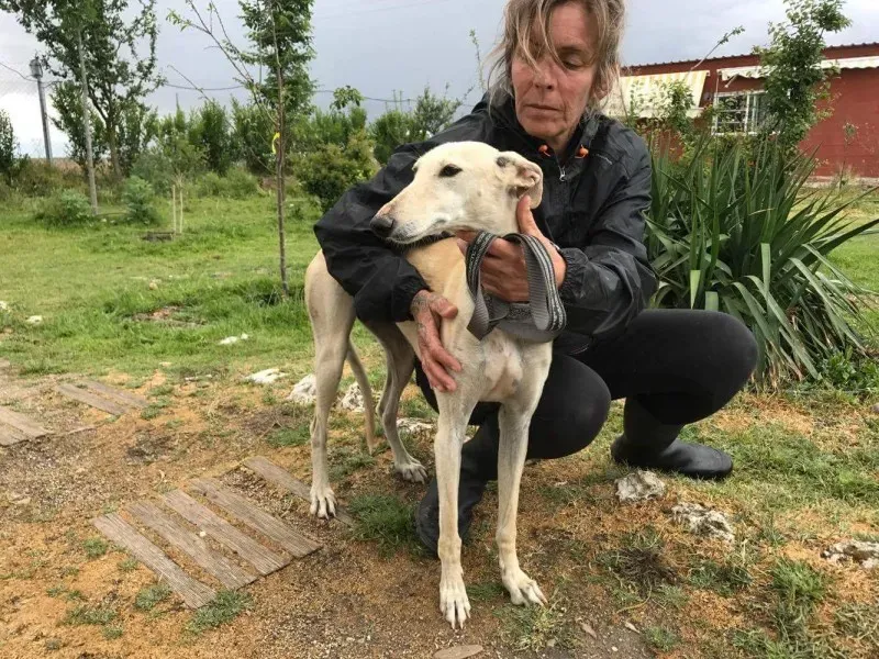 received 1475038999214796