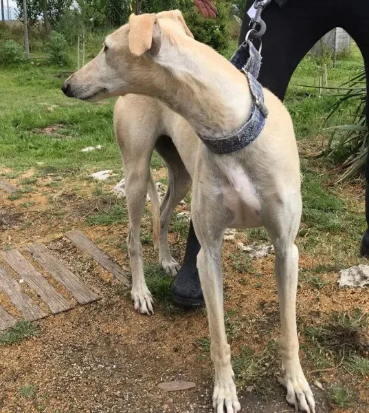 received 1475039115881451