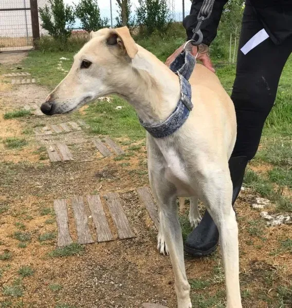 received 1475039159214780