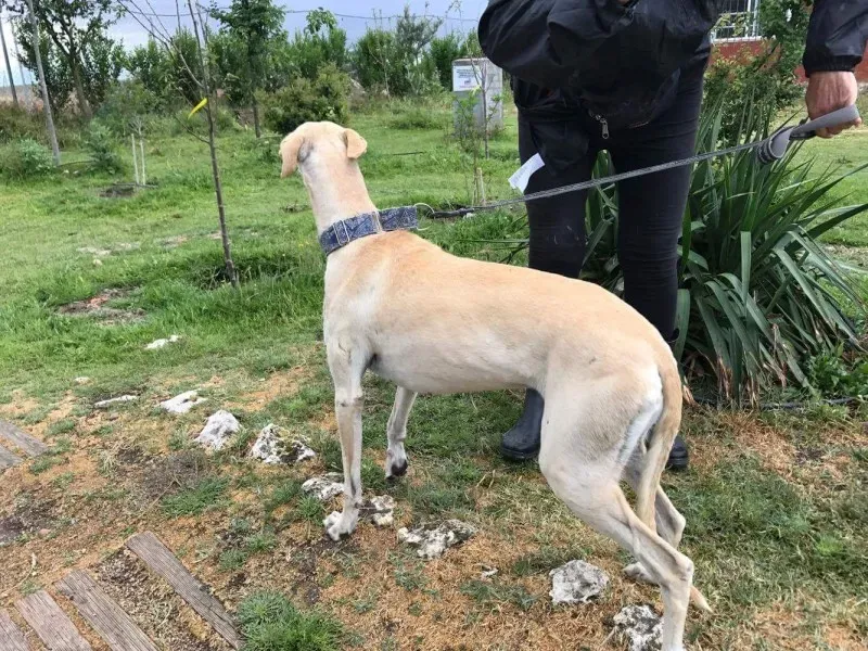 received 1475039482548081