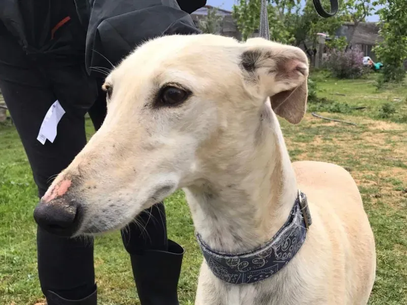 received 1475039709214725