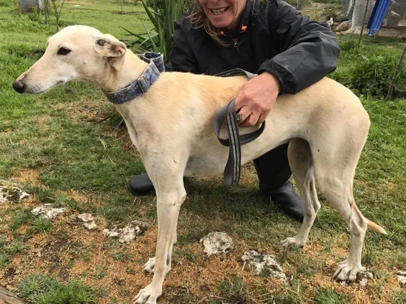 received 1475039825881380