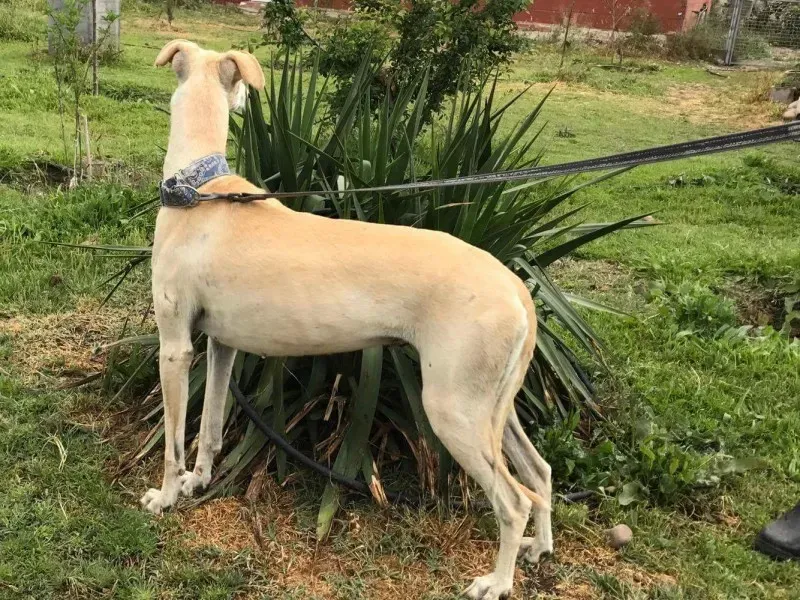 received 1475039895881373