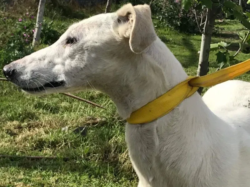 received 1475117072540322 1