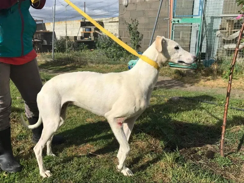 received 1475117259206970