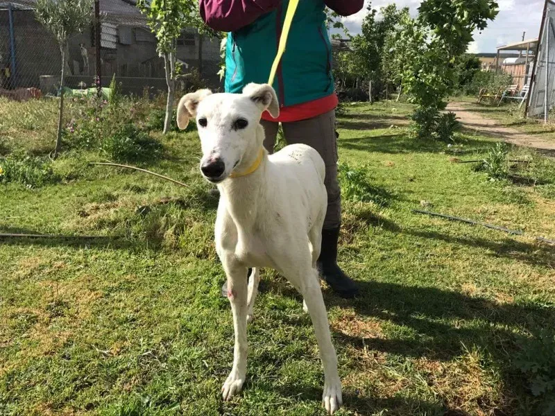 received 1475117362540293