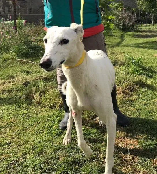 received 1475117495873613