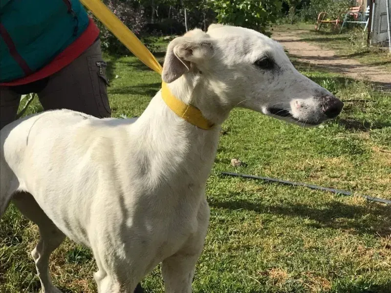 received 1475117622540267 1