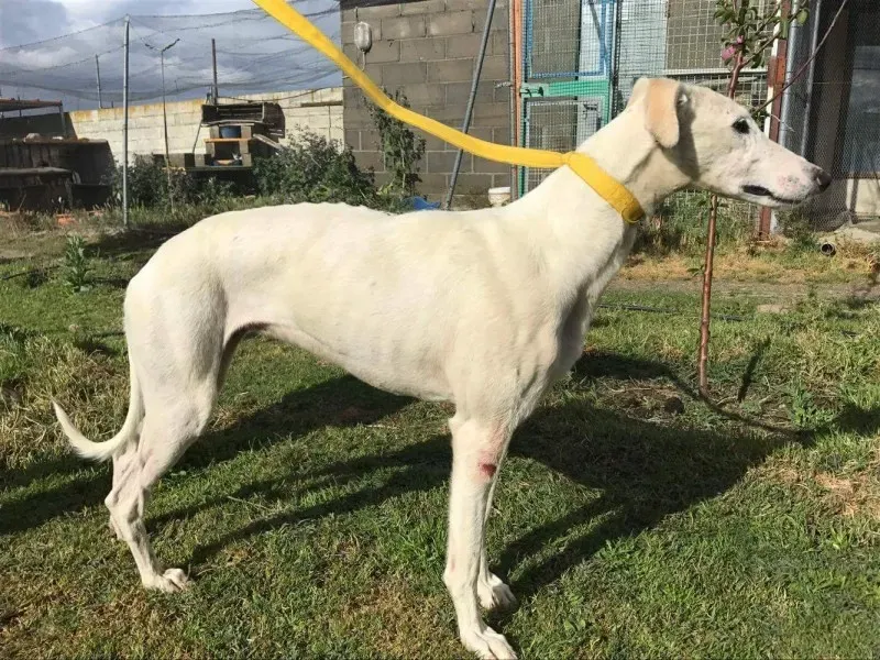 received 1475117732540256