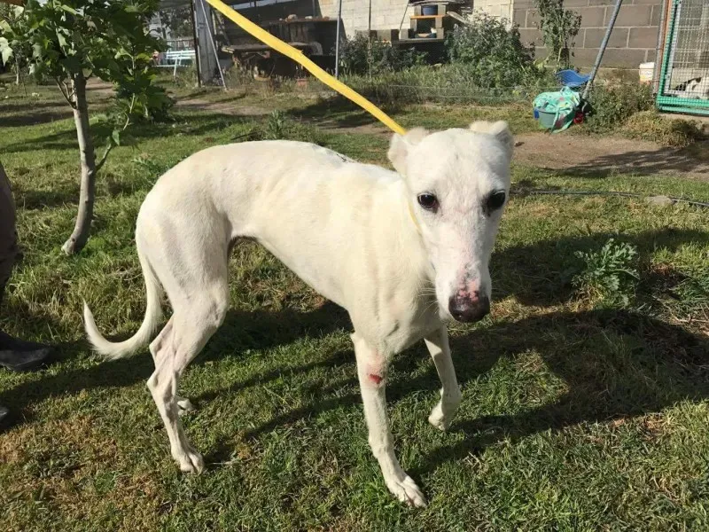 received 1475118039206892