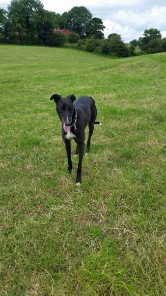 received 1477899495634982