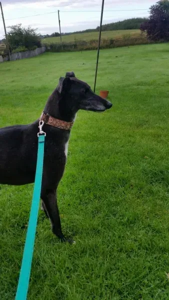 received 1477934105631521