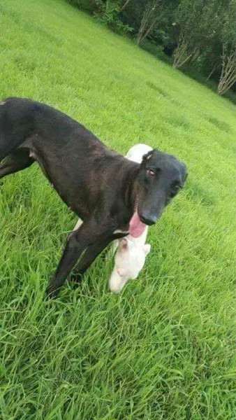 received 1480831062008492