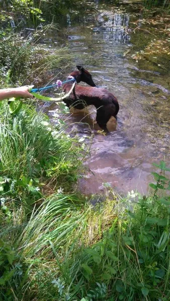 received 1481670571924541