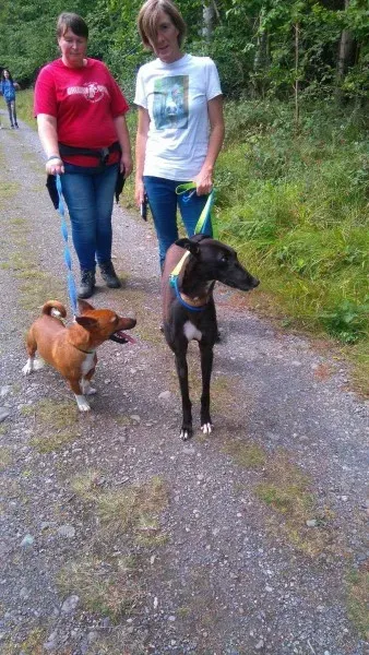 received 1481670605257871