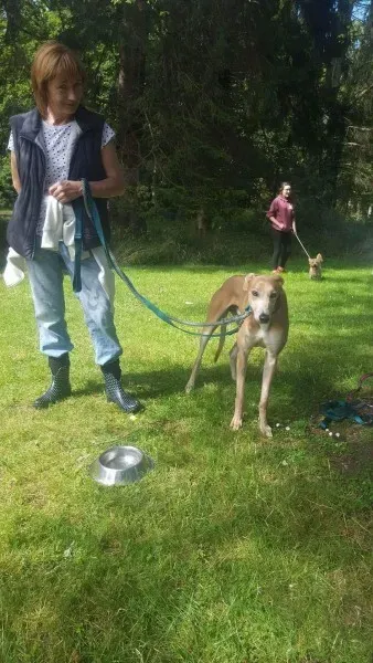 received 1481670631924535