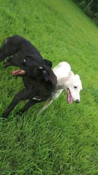 received 1482578571833741