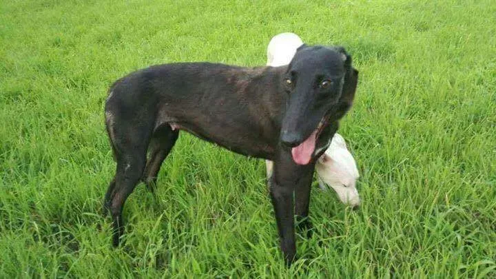 received 1482579138500351