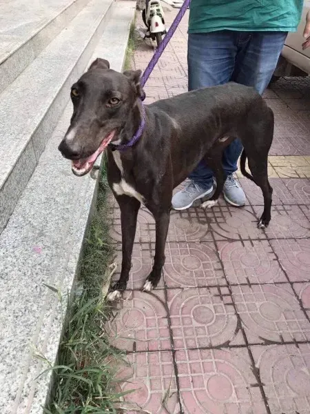 received 1482579175167014