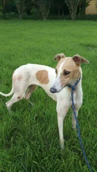 received 1482630425161889