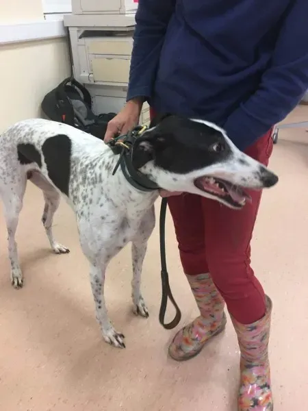 received 1485400744884857