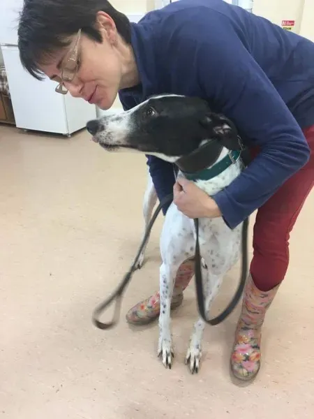 received 1485401254884806