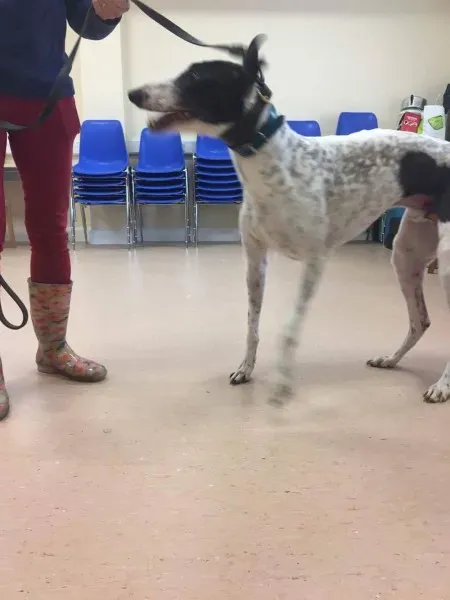 received 1485401618218103