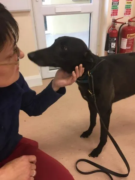 received 1488083884616543