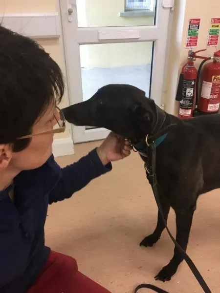 received 1488083964616535