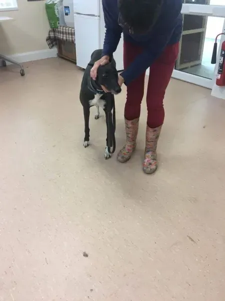 received 1488084824616449