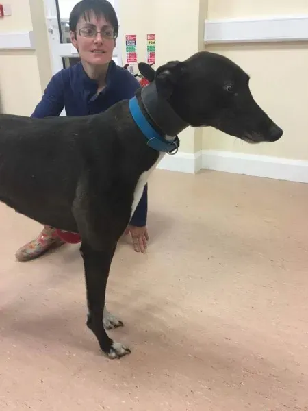 received 1488085367949728