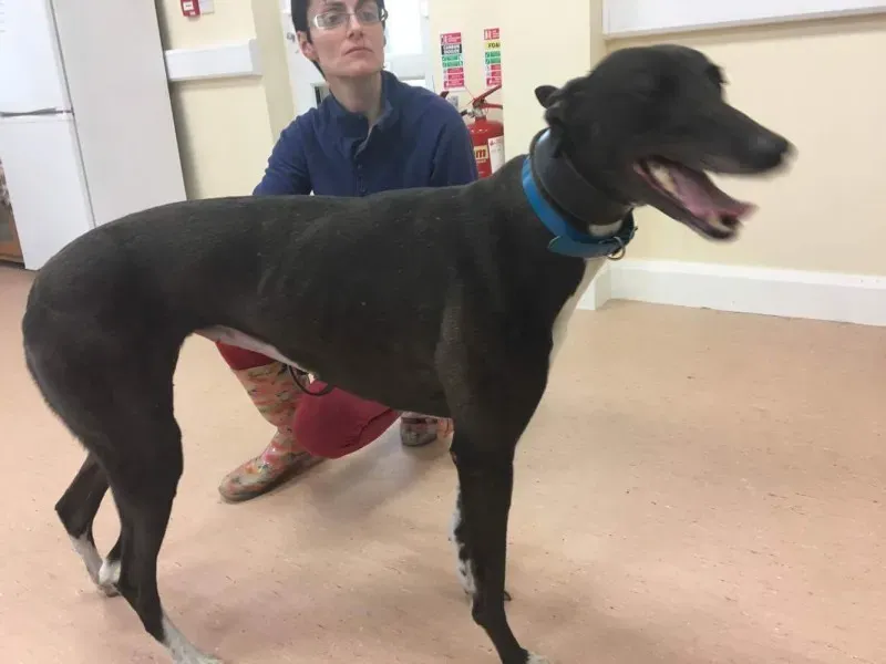 received 1488085474616384 1