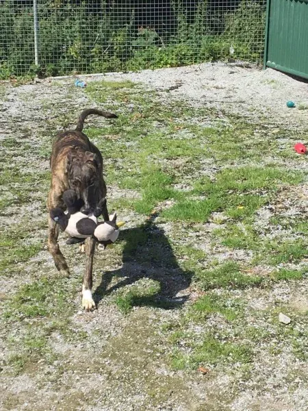 received 1488661171225481