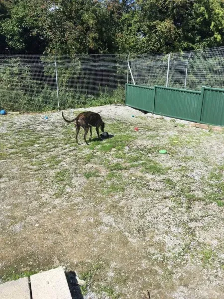 received 1488661264558805