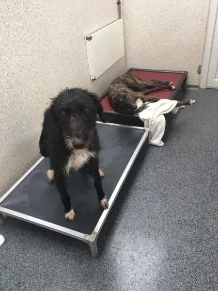 received 1488661684558763