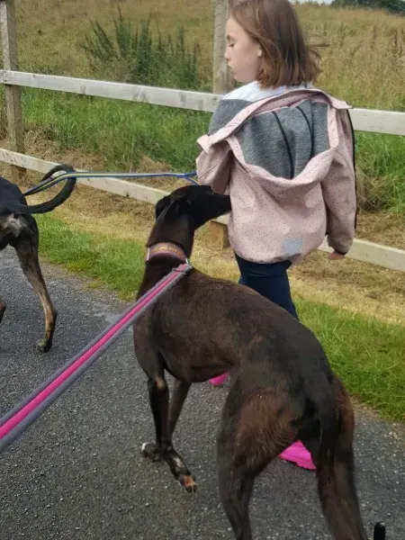 received 1489583181133280