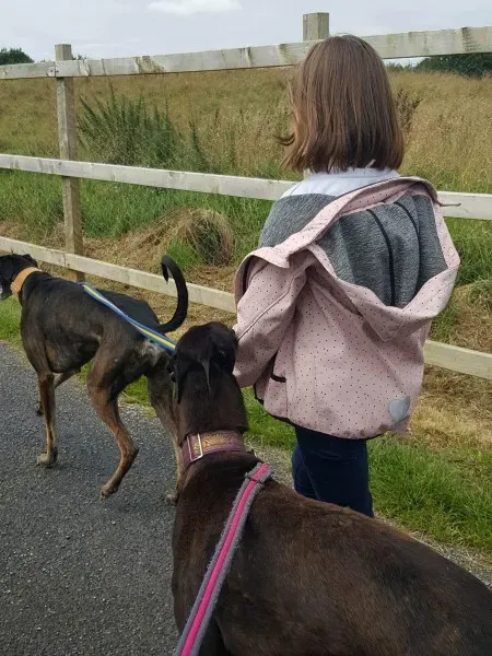 received 1489583284466603