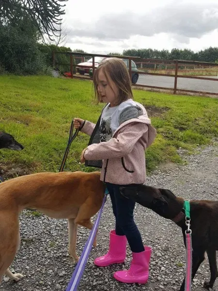 received 1489583444466587