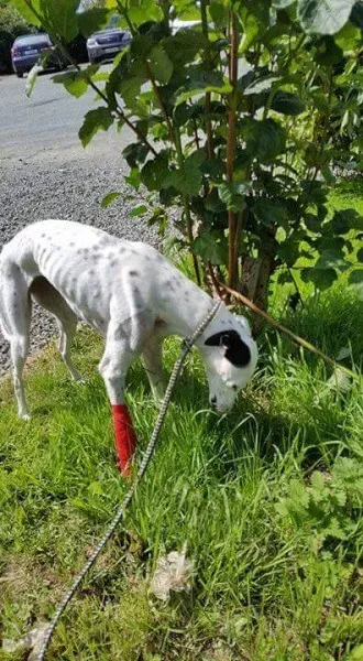 received 1491719890919609