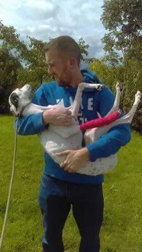 received 1493359144089017