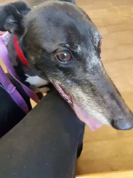 received 1496843300407268