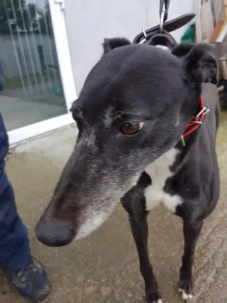 received 1496843313740600