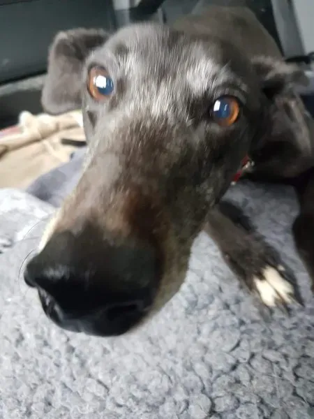 received 1496843320407266