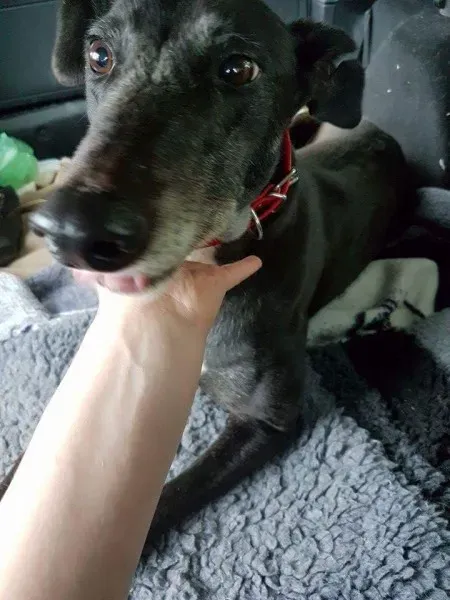 received 1496843323740599