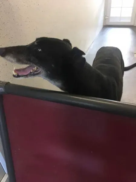 received 1511971895561075